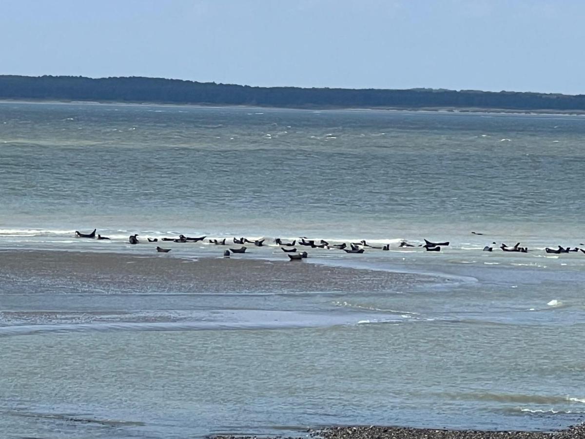 A 50m Reves Bleus Les Bains De Apartment *